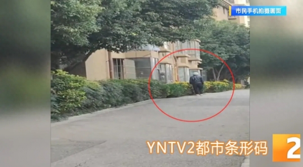 危险！老人弹弓打鸟喂老鹰？邻居：劝阻遭辱骂，流浪猫狗也没放过！